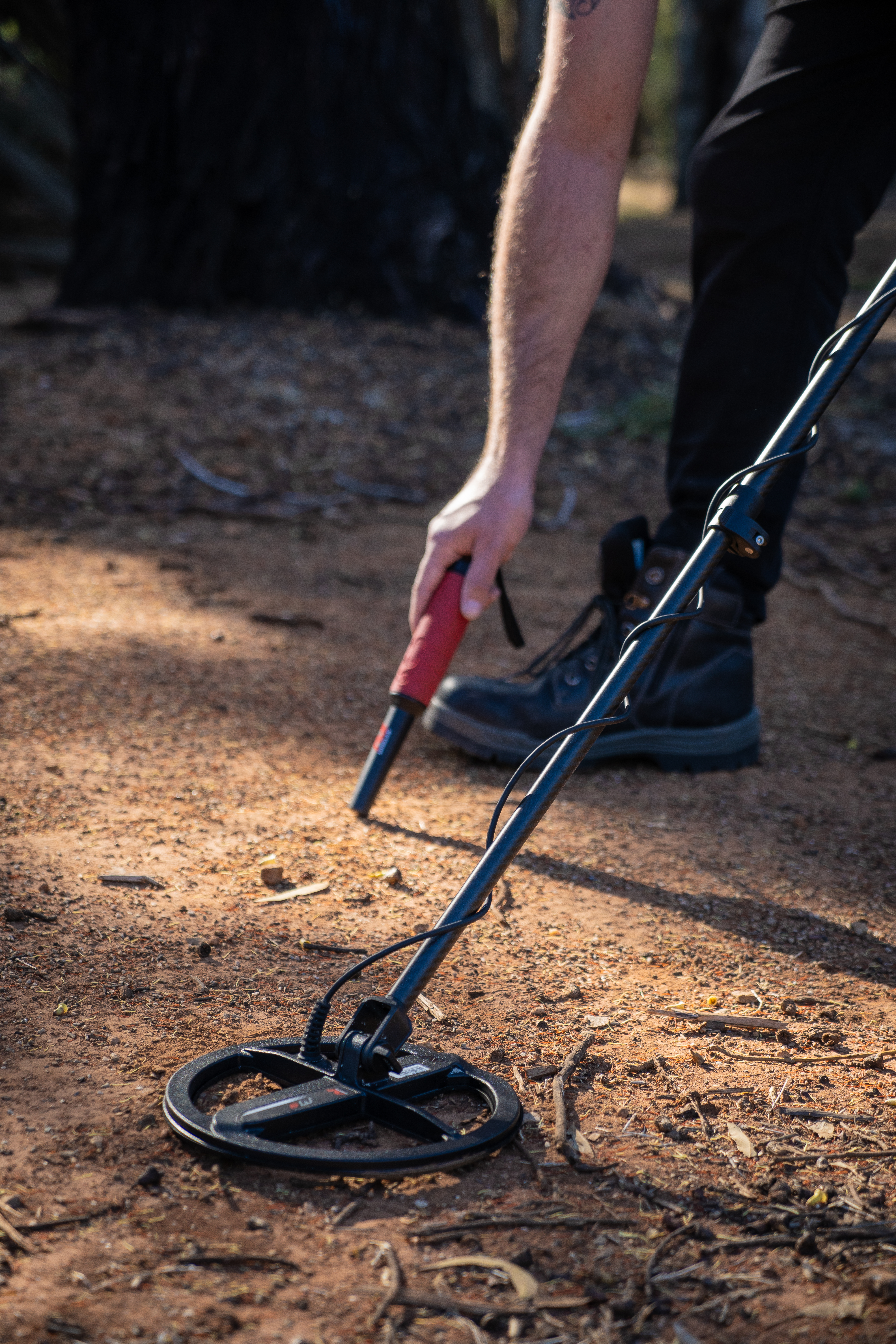 Minelab M9 Suchspule für Manticore